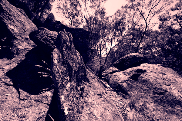 Landscape Nature rocks rock rock scape trees forest warrumbungles timor rock wurrumbungle National Park Park