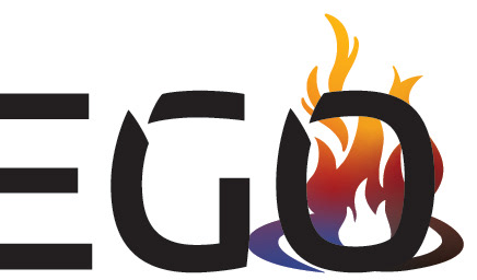 logo branding  branding guide lifego