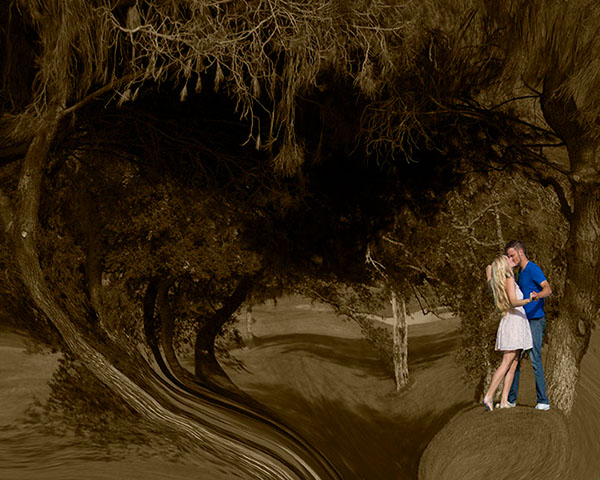 Love romance engagement oceanside escondido water pond Ocean green Syrenia Imagery couples portraits