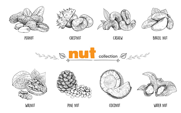 Nut collection