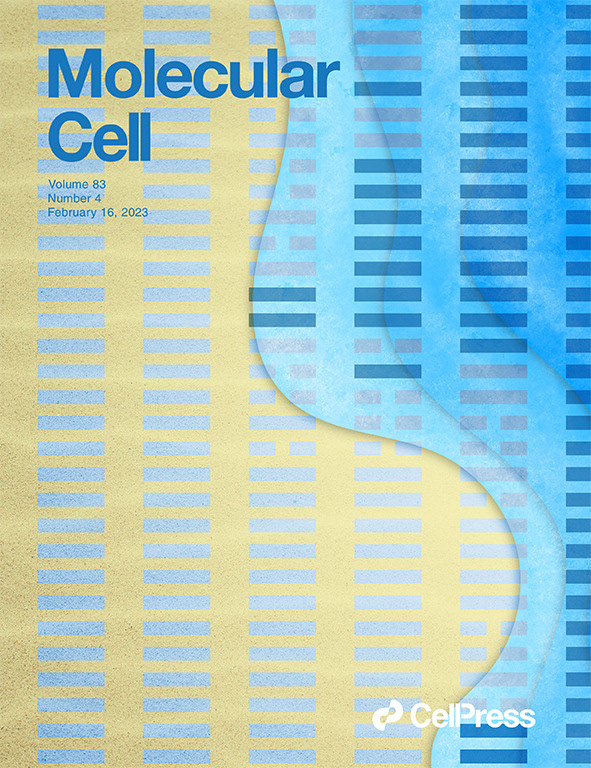 cover Cover Art cover design science ILLUSTRATION  magazine molecular cell science cover