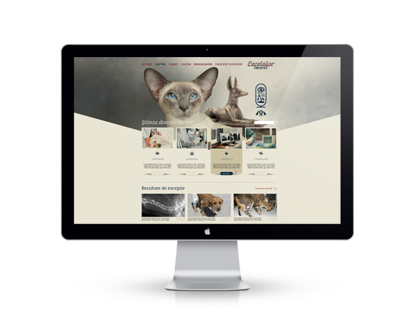 identity 2diacritic veterinary corporate Website Stationery logo campaign