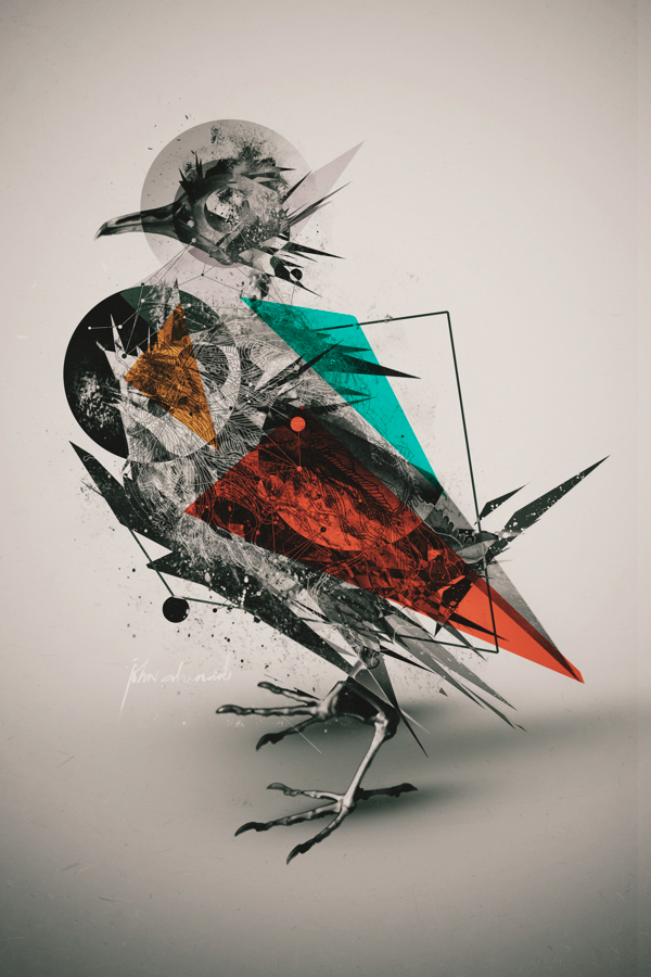 bird graphic design Toronto ocad