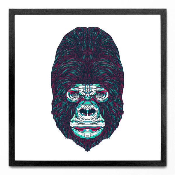 gorilla BS13 animal gorila color