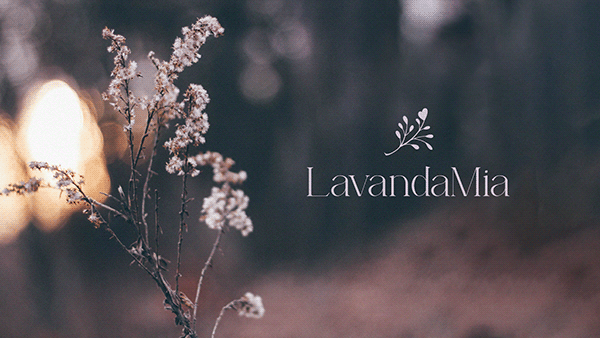 Логотип и фирменный стиль LavandaMia