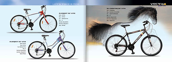 Afiş ilan broşür kitap kitapcık katalog el ilanı baskılı işler baskı tasarımı