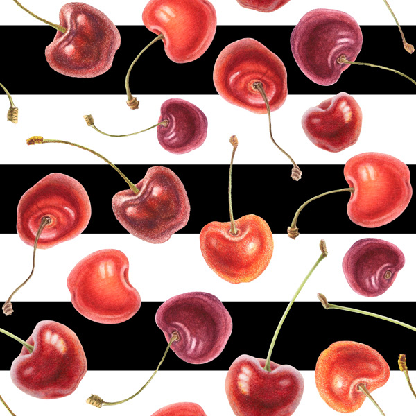 art berries botanical cherry Food  ILLUSTRATION  orange Painted red watercolor