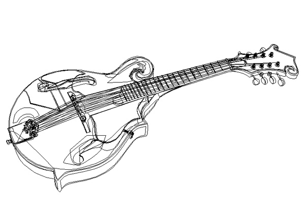 vector Illustrator  Music  mandolin  folk  Guitar  Illustration  photo realism  photo realistic  detail