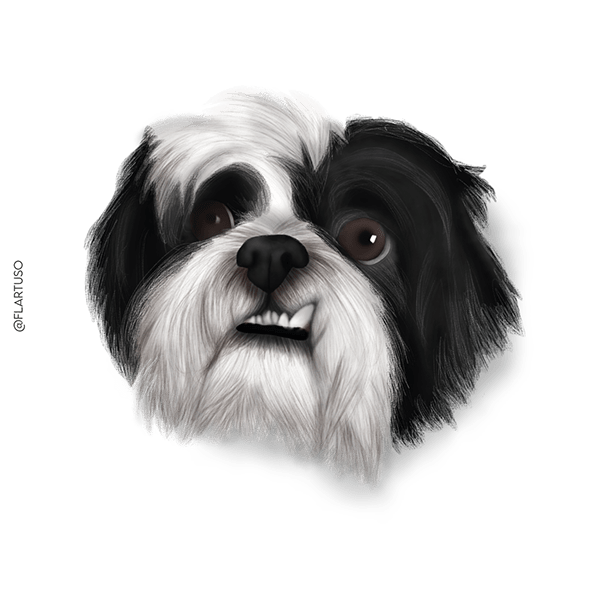 Retratos Pets | Ilustrações Digitais