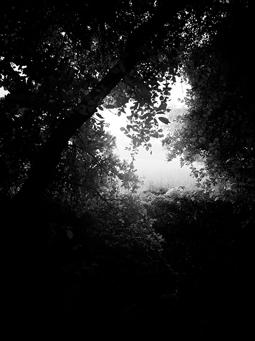 art arte black and white fine art fine art photography infrared infrared photography kolarivision Landscape infrascapes
