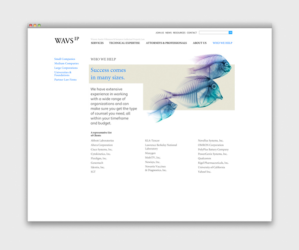 Intellectual Property YIUstudio WAVS IP web layout x-ray