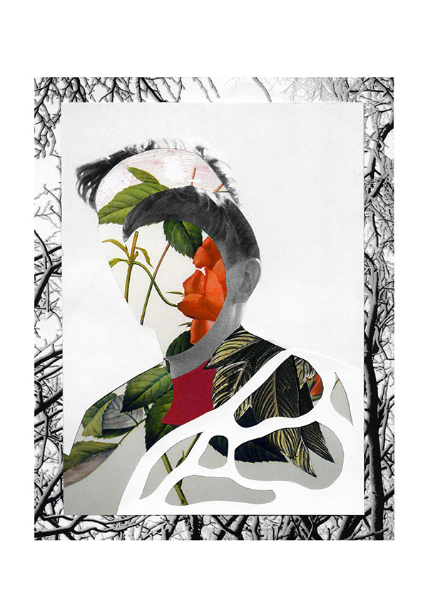 collage portraits cutandpaste Collageart handmade rocio montoya botanical Nature plants experimental conceptual faceless