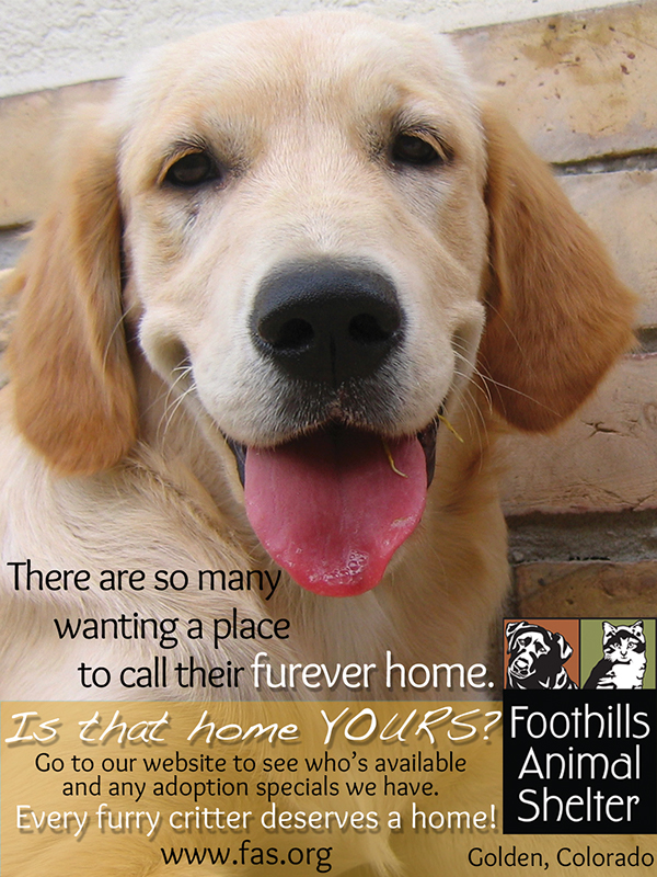 Full and quarter page ads for Foothills Animal Shelter on Behance