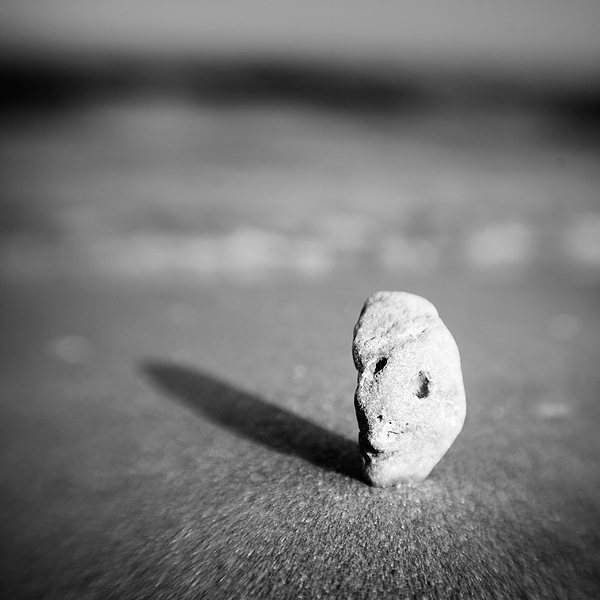 sea beach rock stone portrait cailloux