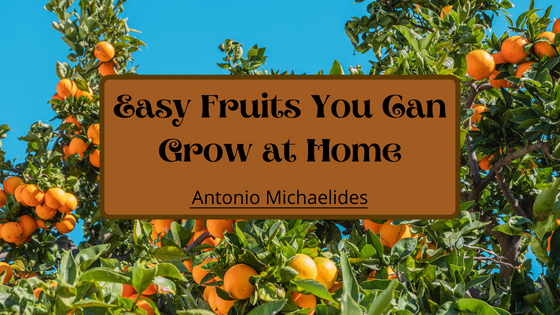 Antonio Michaelides Fruit garden gardening
