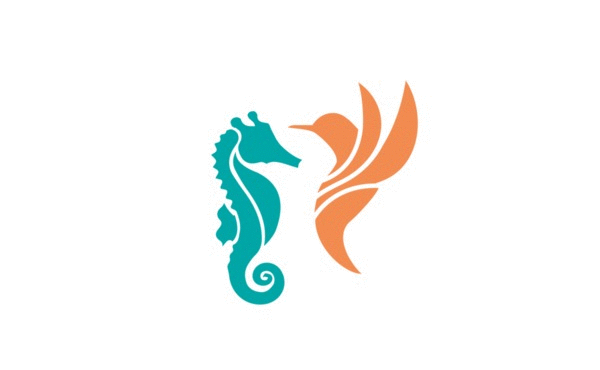veter&more wind sea seahorse bird Clothing Yoga lifestyle logo