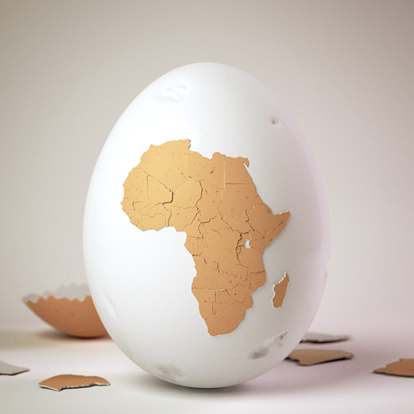 Africa Egg