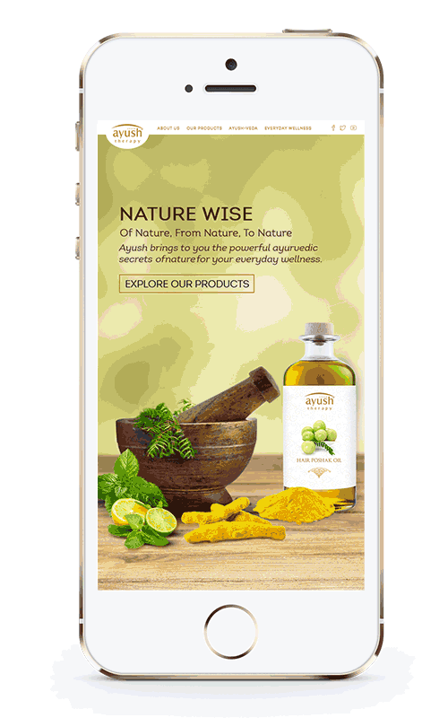 ayurveda indian Health personal care therapy Nature natural Amla rosemary neem