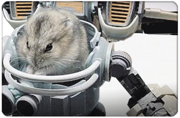 animation  Crypto Art cute hamster kawaii motion movement nft robot robotics