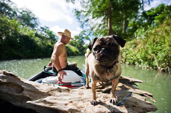 Guadalupe river canoe outdoors environment