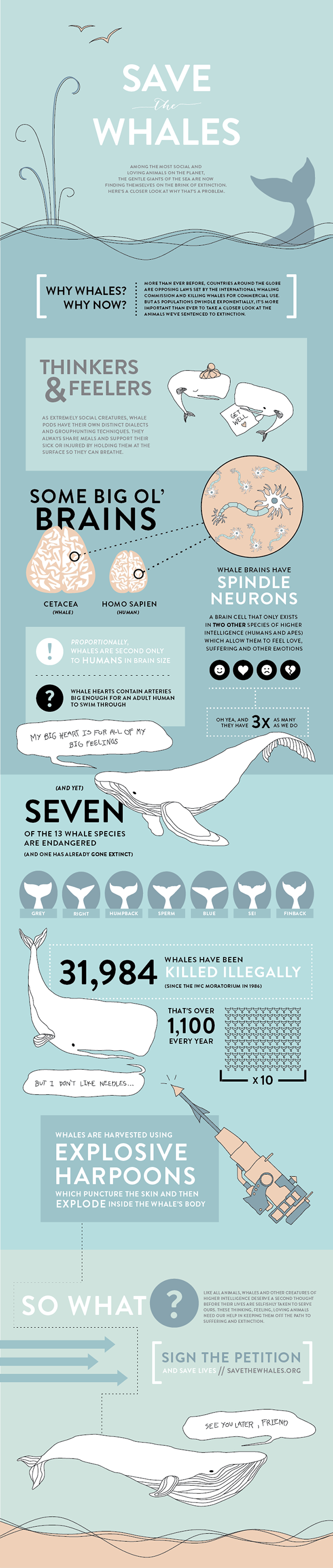 "Save The Animals" Infographic Series