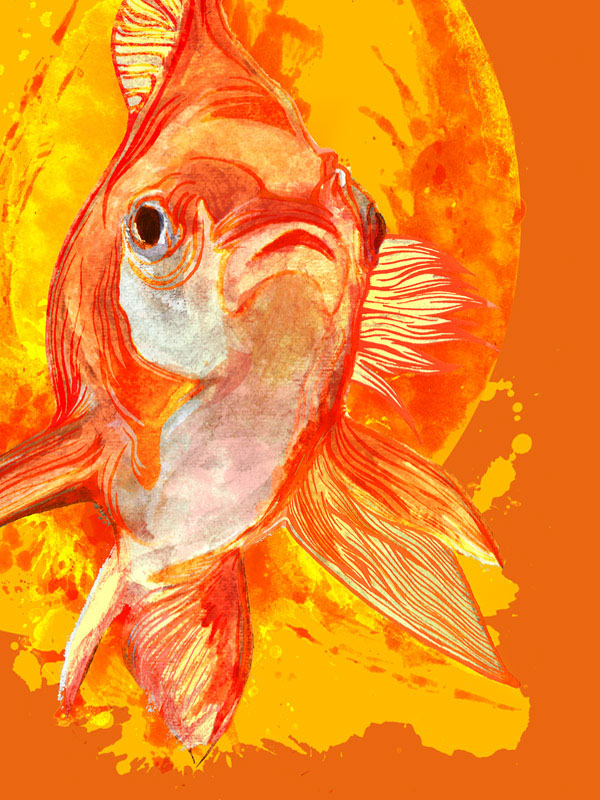 ink watercolor photoshop animals Rhino screech owl fantailed goldfish