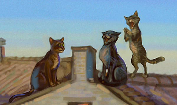 caterwauling serenade Cat puss in boots roof spring Evening song Singing guitar Love march Lady grooming concert