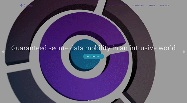 capzul security Data mobile online icons devices Program software
