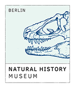 museum natural history logo contemporary Pastells fresh stationary businesscard visual language animal