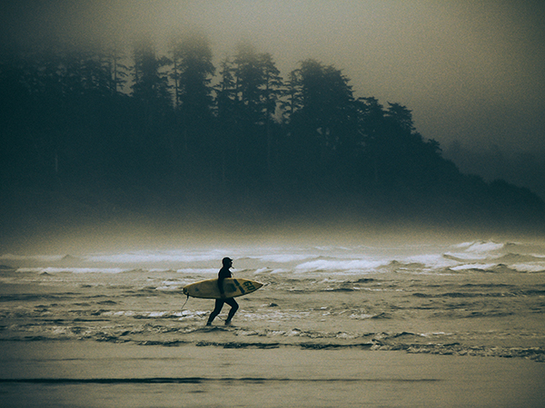 Canada  Tofino  vancouver island  British Columbia  pacific rim  surf  sea  Waves  people   bear  Seal   whales