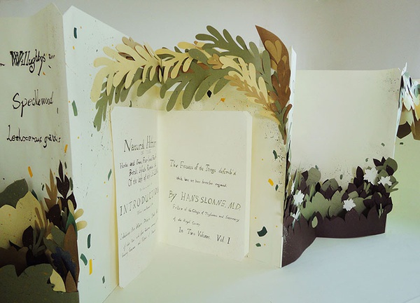handmade books arts craft pop-up book handmade herbs book design design