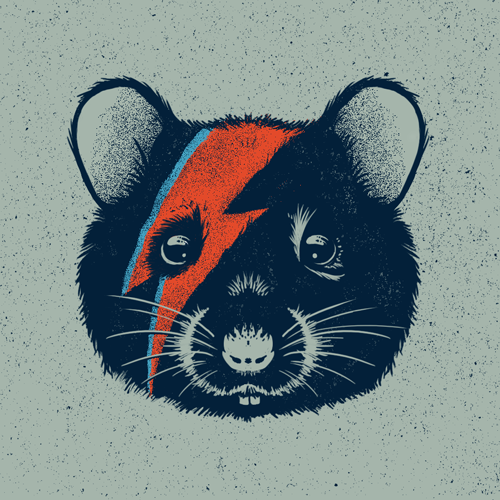 rat texture rsss social networks wizz new year Bowie
