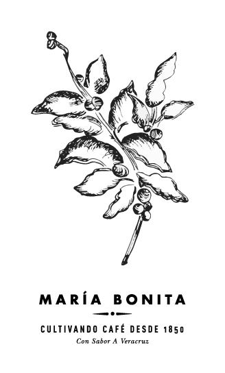 coffee shop draw Mexican maria bonita logo