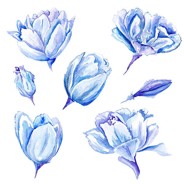 blue tulip watercolor painting   impressionist pattern botanical flower