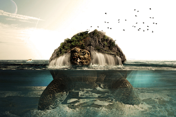 manipulation graphics graphic design Turtle water under water effect showcase