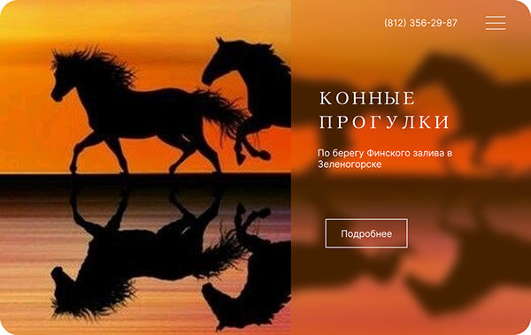 Обложка сайта для конного клуба