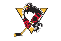 Pittsburgh Penguins hockey sports poster art wbs penguins penguins hockey design illustrated poster poster