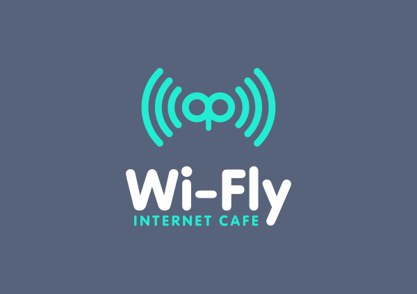 Wifly  Wi-fly logo identity colours