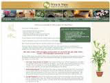 Website wordpress feng shui redesign Eastern