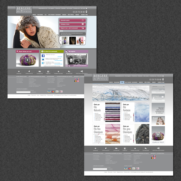 Web  design Webdesign concept graphisme
