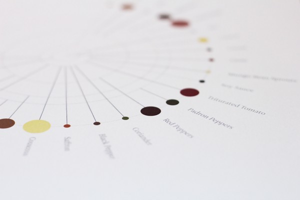 poster infographic data visualization