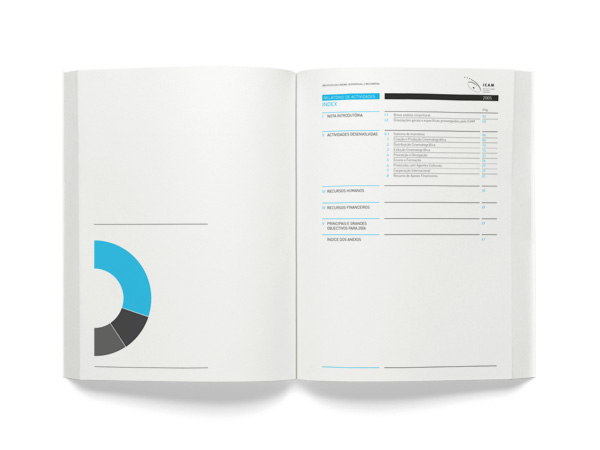 report graphic design ICAM infographic annual report clean grid print digital graphics pie chart Charts activity