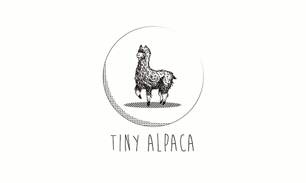 hih hihstu chiangmai Tiny alpaca Thailand