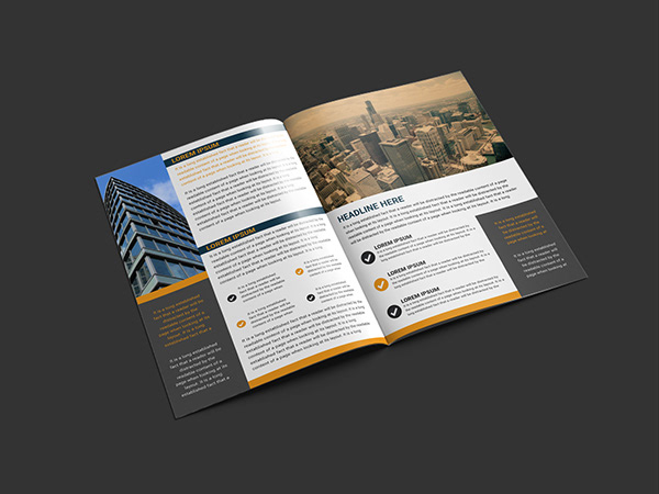Professional Business Brochure/Booklet Design Template