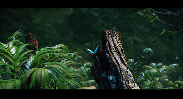 Tropical Butterfly - short animation