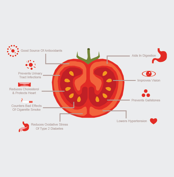 flat design vector vector arts illustrated infographic Tomato Health Related