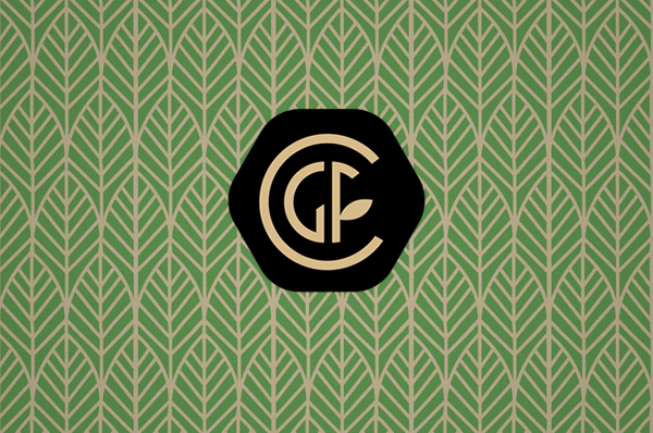 brand identity visual identity logo Patterns brand manual green design