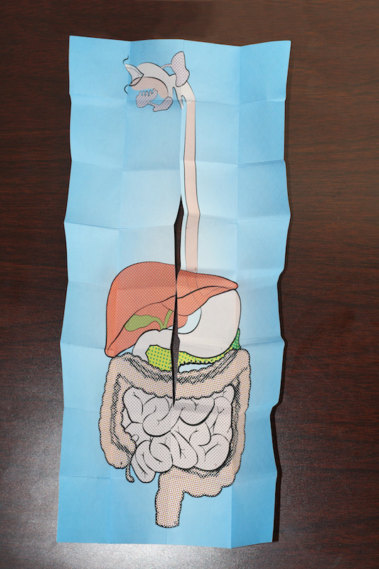 Digestive System book halftone poster single page book