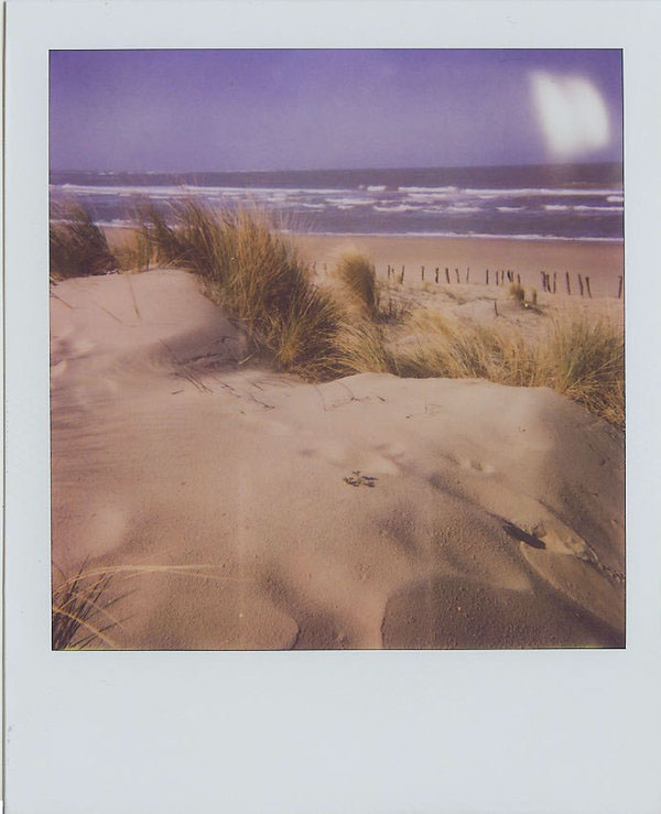 POLAROID 640 instant