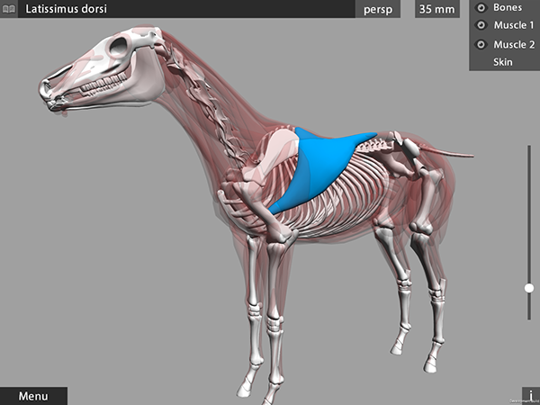 3d animal anatomy app for artists, students, teachers, on Behance
